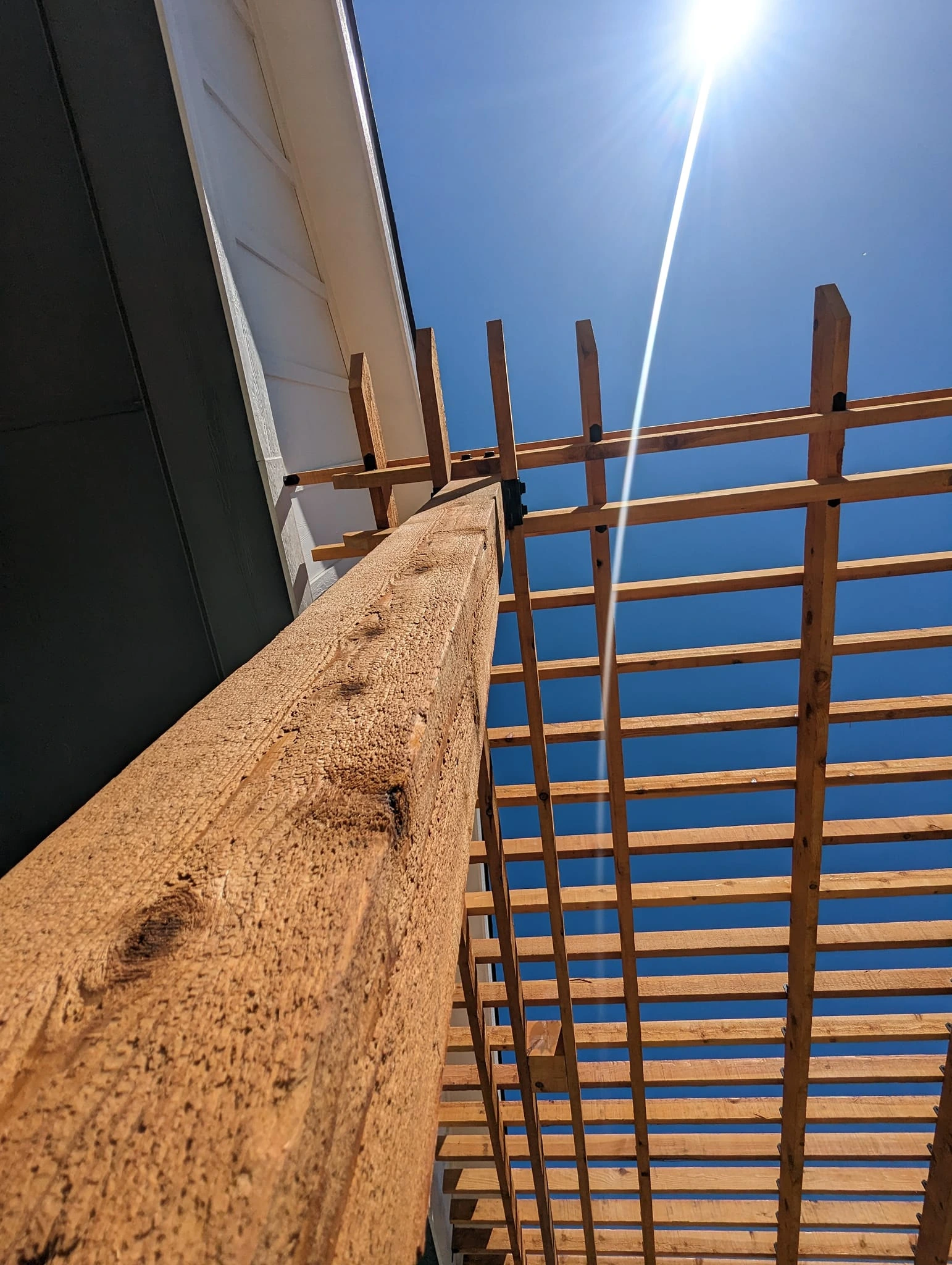 Cedar Details in Sunlight